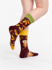 Curious Owl - Socks Good Mood